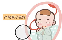 常州孕期亲子鉴定费用是多少钱[专家咨询]